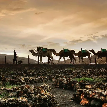 Semesterbostad Home2book Design House Bastian