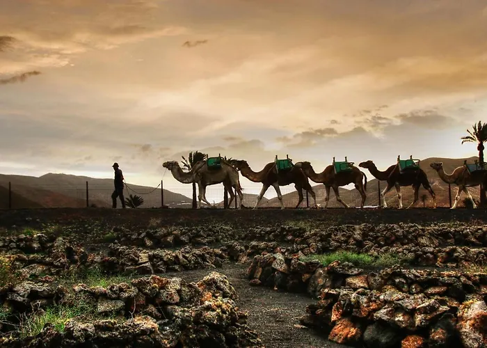 Semesterbostad Home2book Design House Bastian