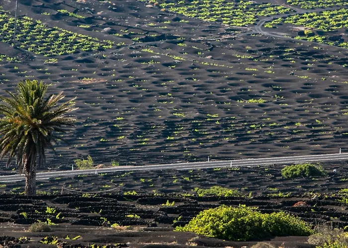 Holiday home Home2book Design House Bastian